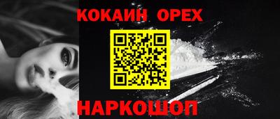 шишки Будённовск