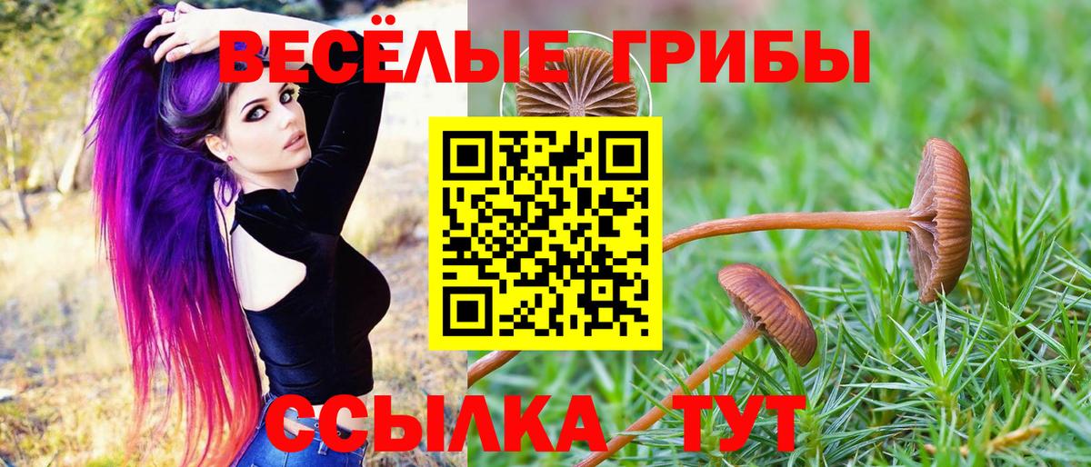 Костомукша  Галлюциногенные грибы ЛСД  Вход с VPN  Галлюциногенные грибы MAGIC MUSHROOMS 